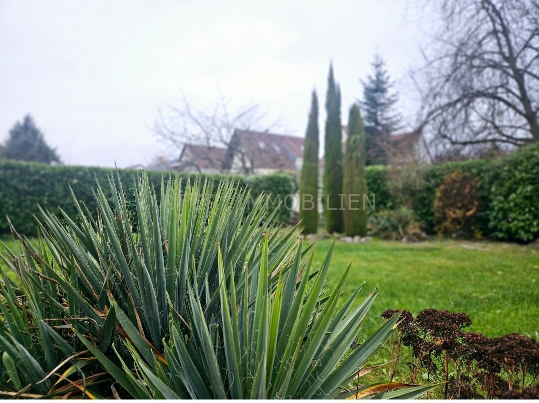 Blick in den Garten Eingang