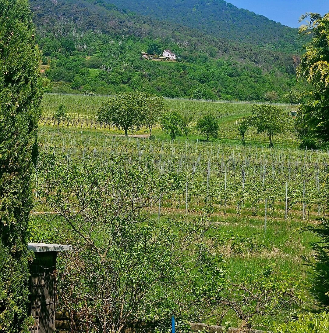 Zeter Berghaus