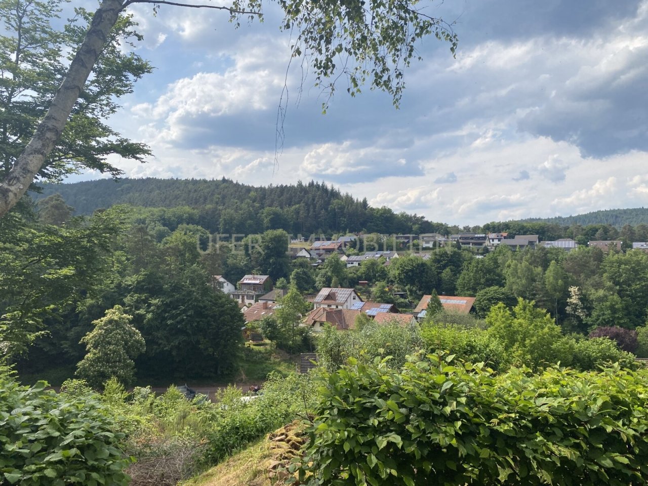 Ausblick Waldrandlage Ausblick Waldrandlage
