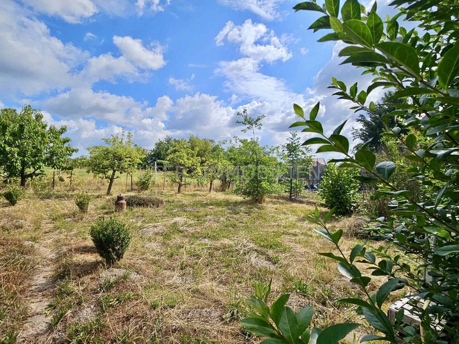 Garten Garten