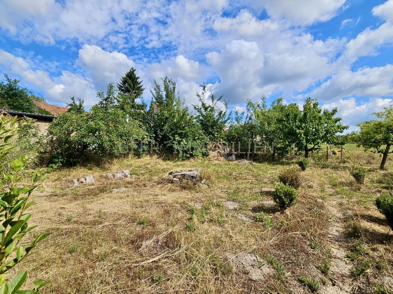 Garten Garten