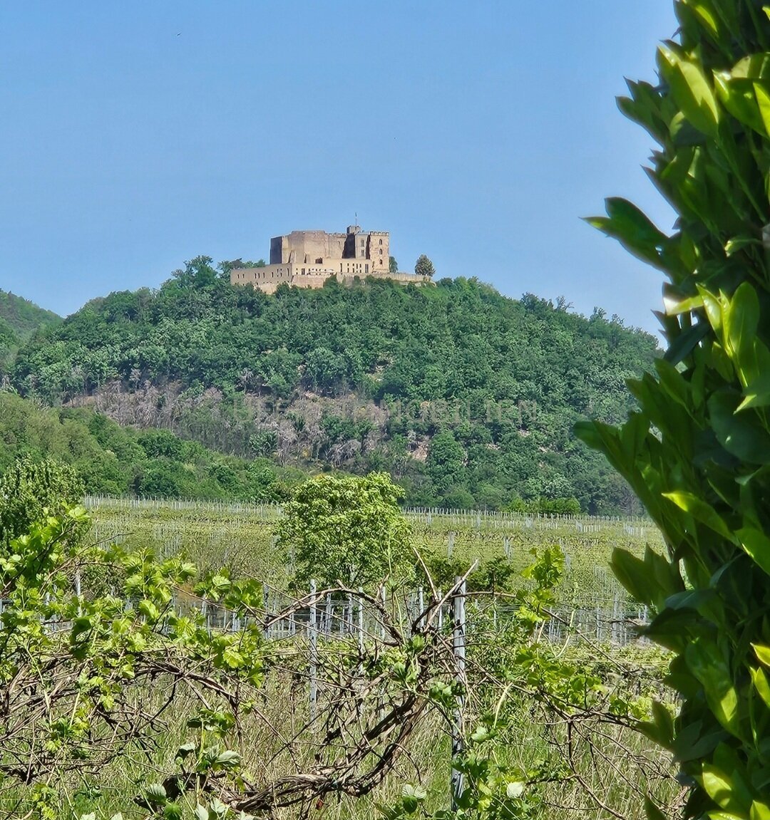 Blick vom Eingangsbereich Blick vom Eingangsbereich