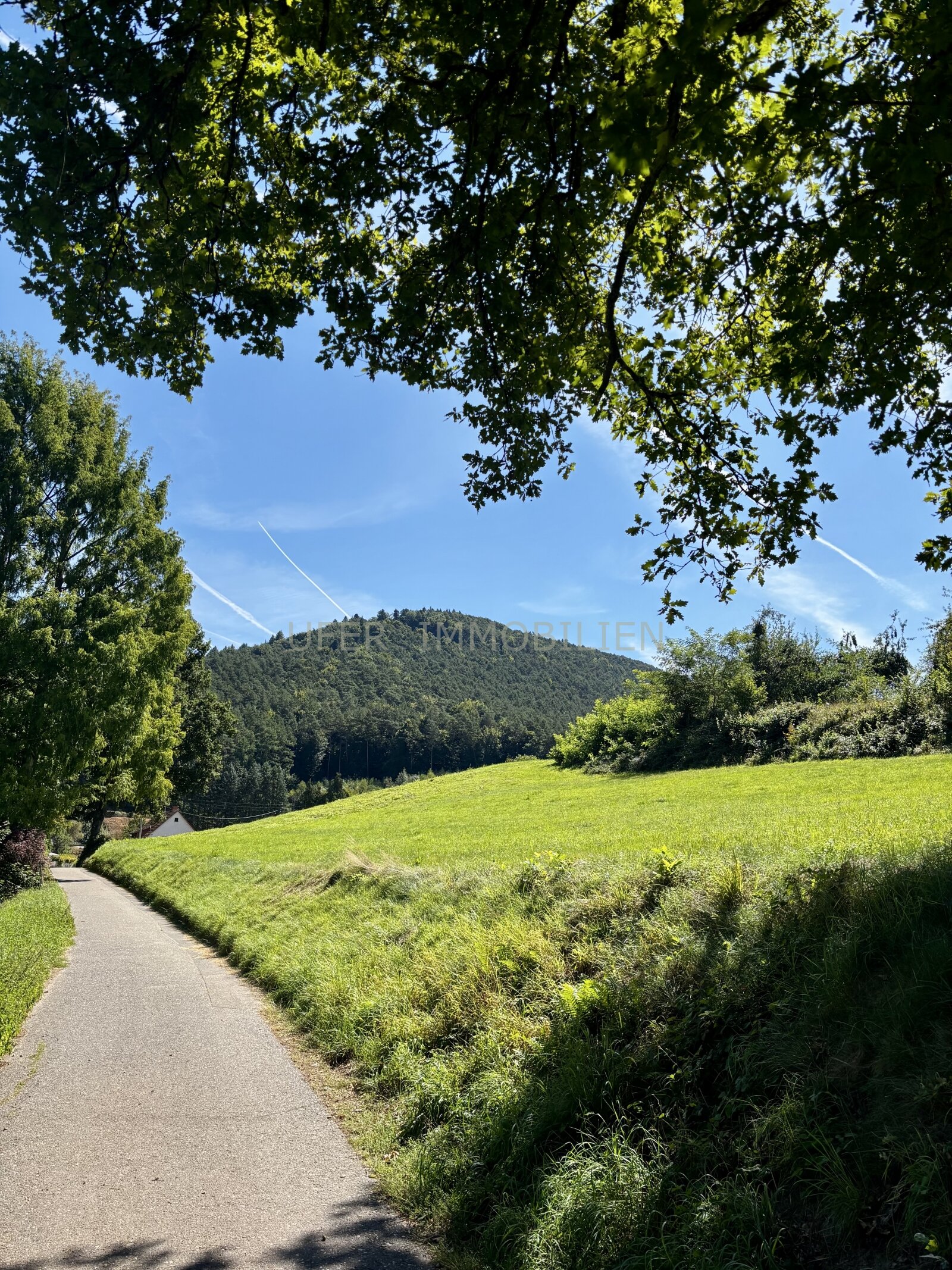 Ausblick Ausblick