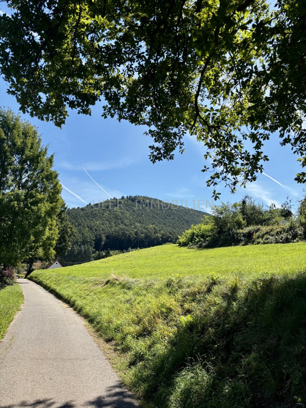 Ausblick Ausblick