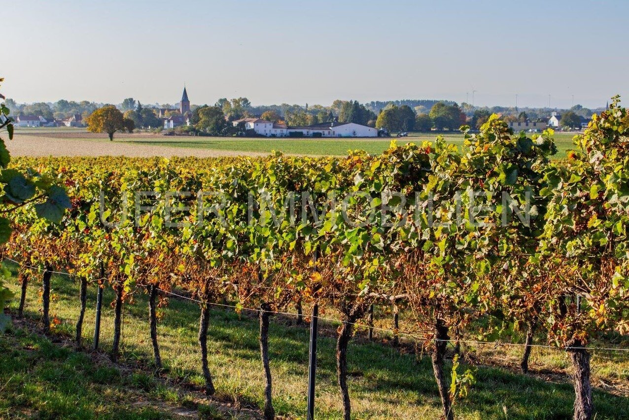 Rohrbach  in der Pfalz:  