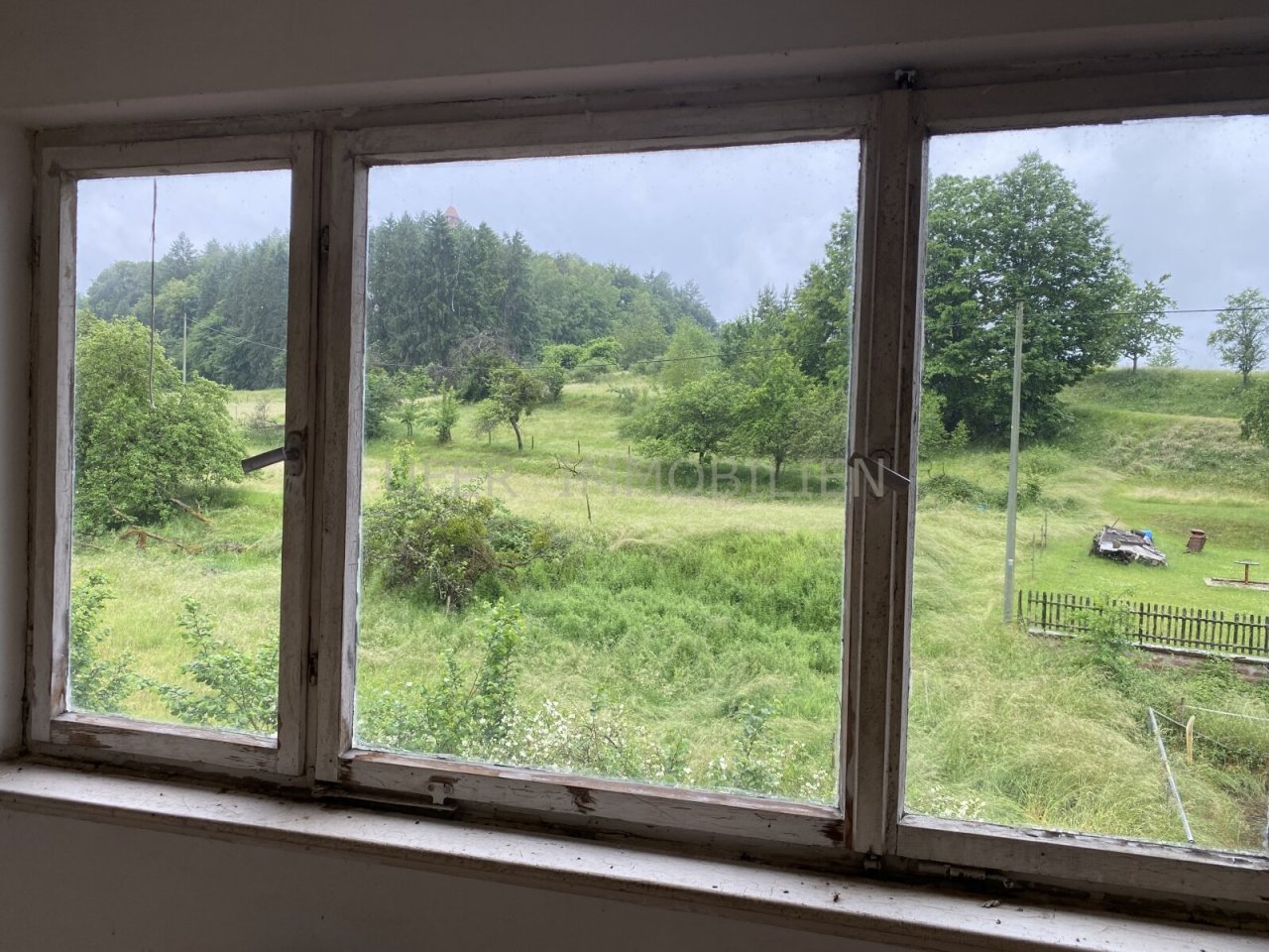 Blick ins Grüne 