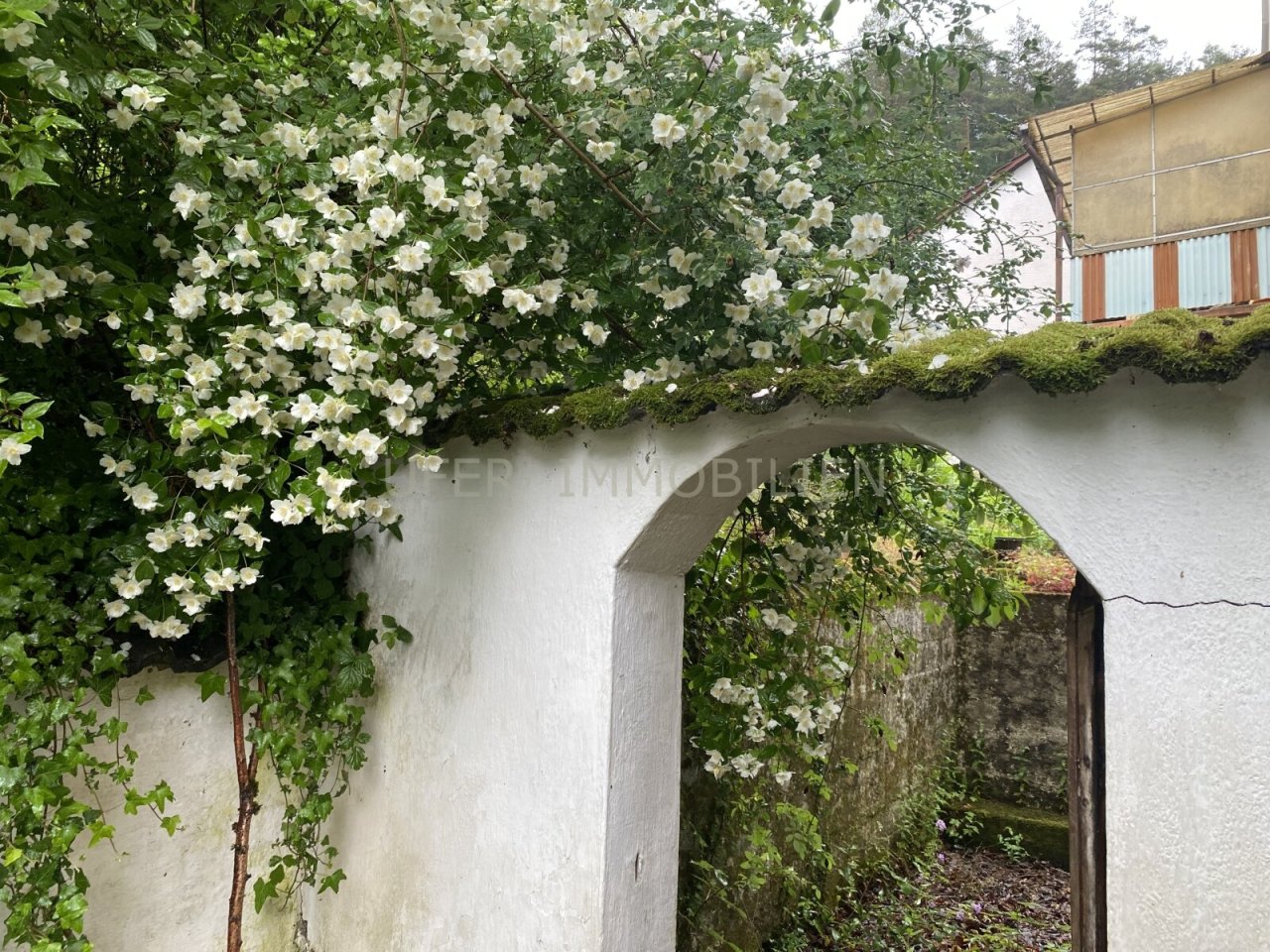 Kleiner Hinterhof