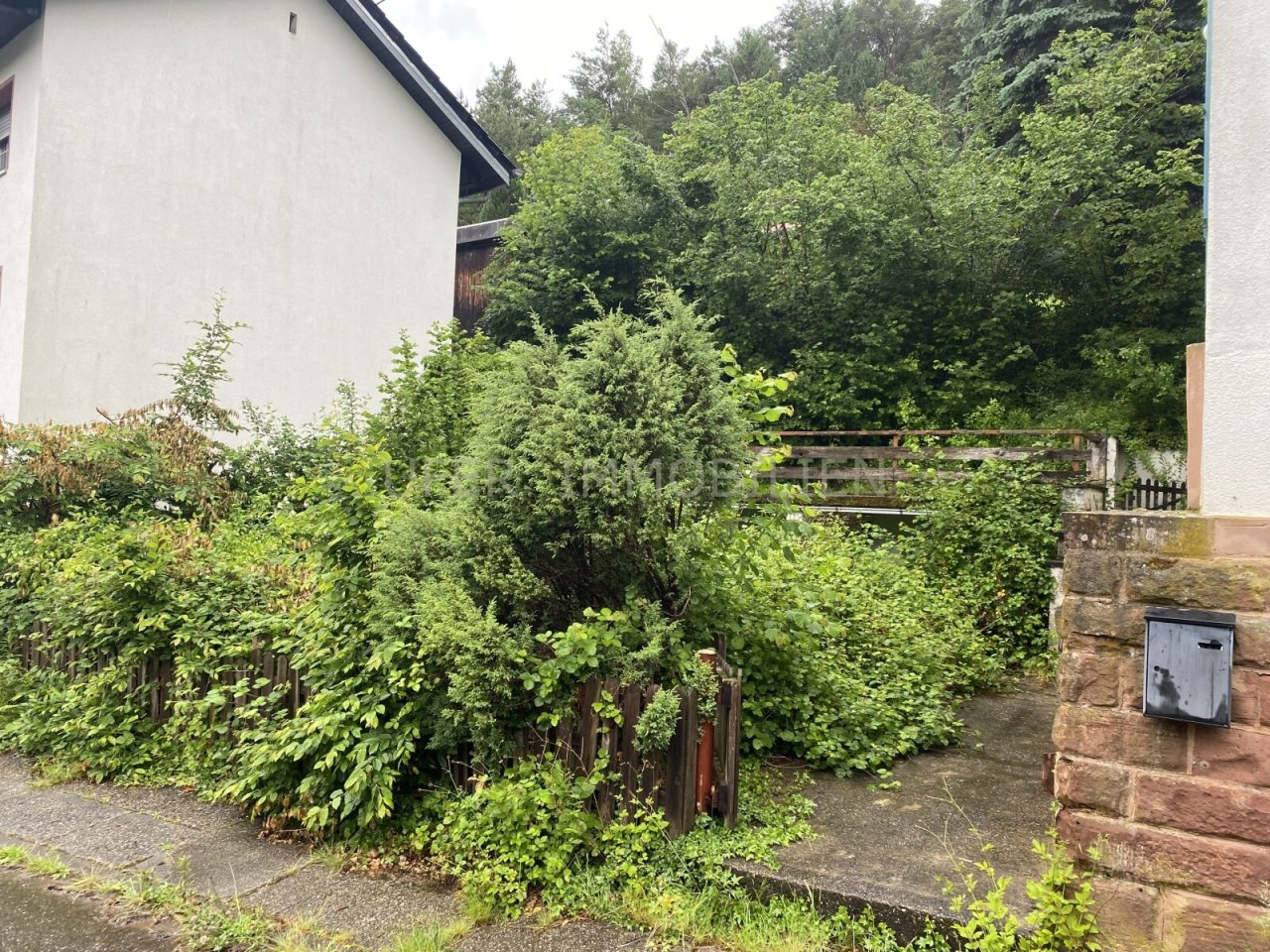 Grünfläche vor dem Haus 