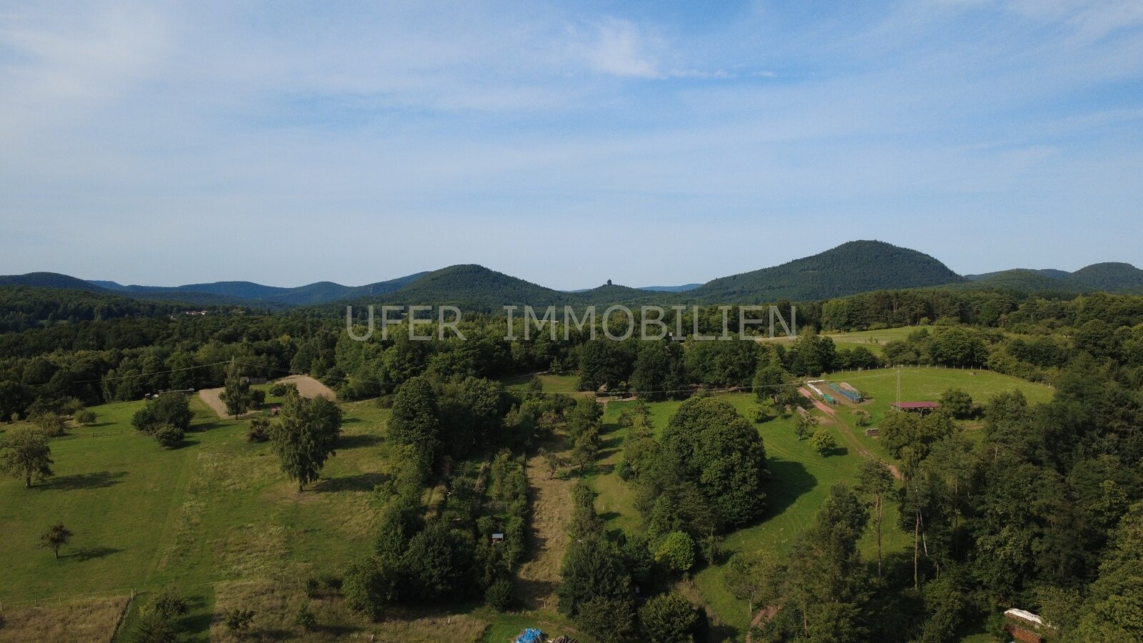 Freistehendes Einfamilienhaus mit großem Garten in ruhiger Waldrandlage – sanierungsbedürftig